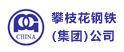 湖南攀枝花鋼鐵集團公司